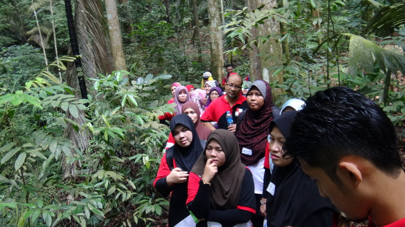 0971 DSC00146